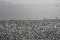 
DSC00202